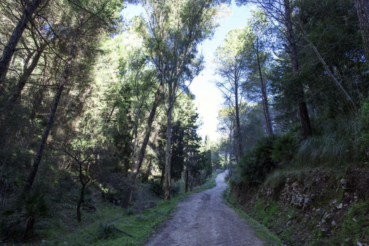 La Dimora Di Segesta B&B Calatafimi Exteriör bild