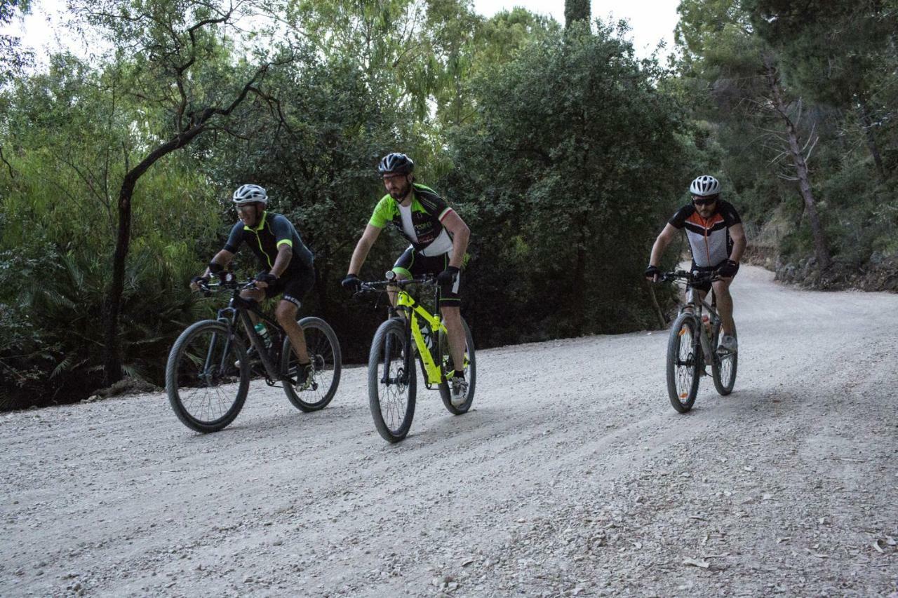 La Dimora Di Segesta B&B Calatafimi Exteriör bild