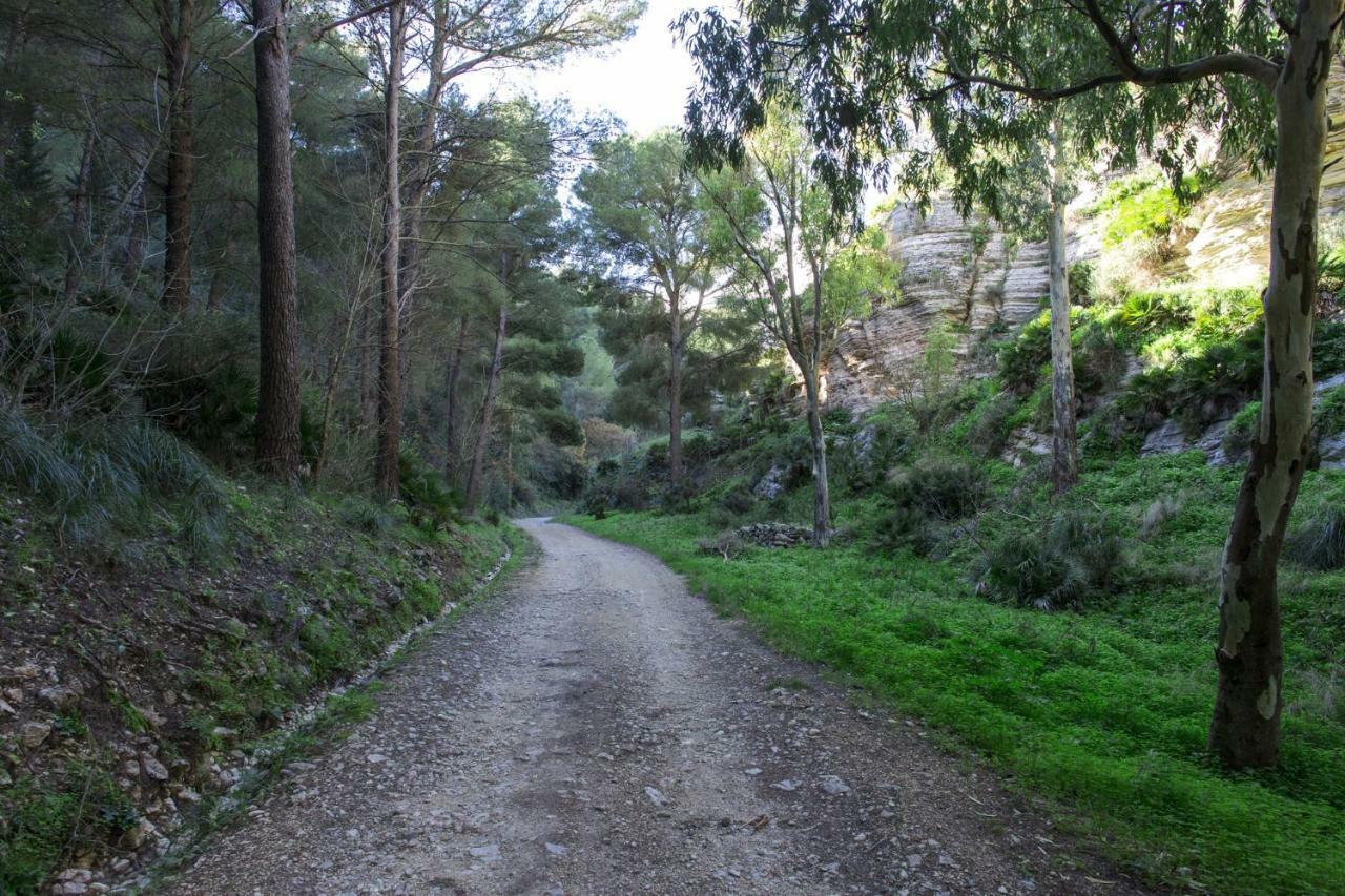 La Dimora Di Segesta B&B Calatafimi Exteriör bild
