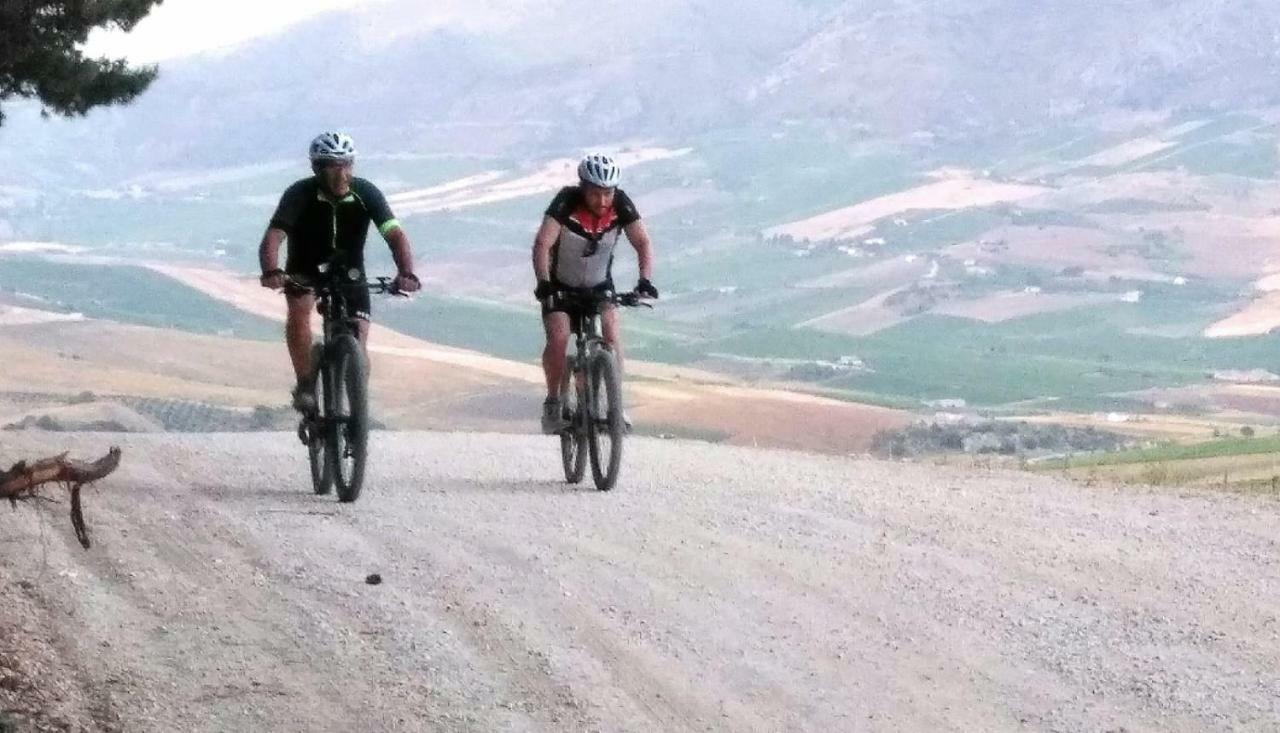 La Dimora Di Segesta B&B Calatafimi Exteriör bild